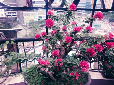 A&D Luxury Hotel – Ảnh 10